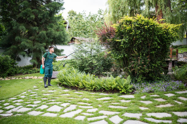 Best Best Pest Control Companies  in Whetstone, AZ