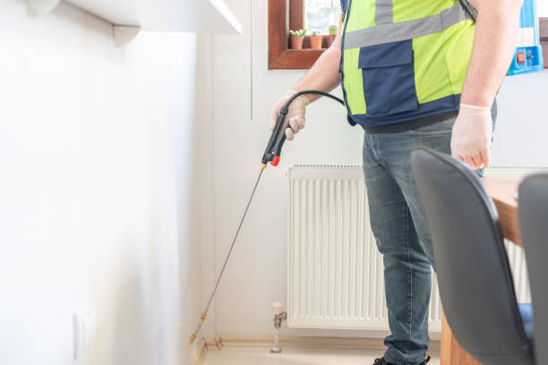 Best Local Pest Control Services  in Whetstone, AZ