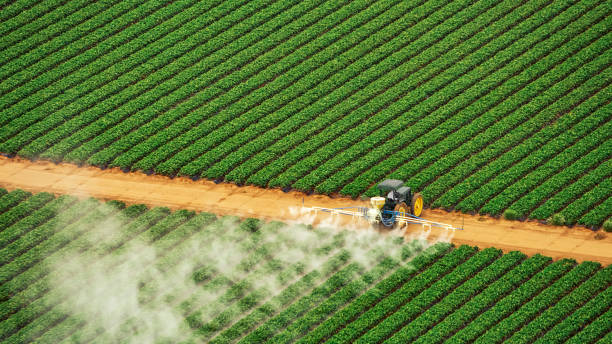 Best Commercial Pest Control Services  in Whetstone, AZ